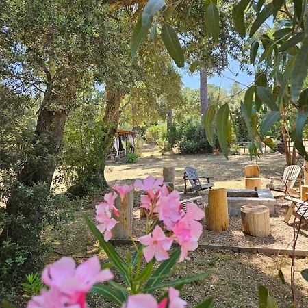 Domaine Authentique De Rose Luxuszelt Porto-Vecchio (Corsica)