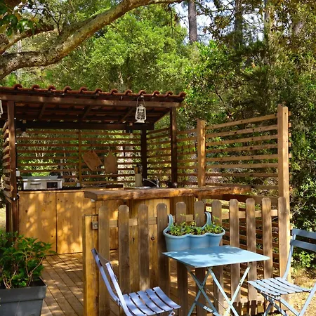 Domaine Authentique De Rose