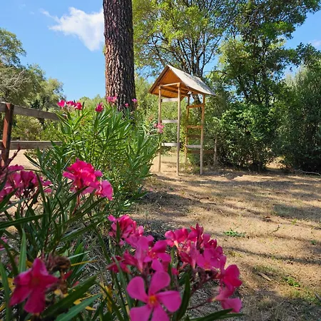 Campo de lujo Domaine Authentique De Rose